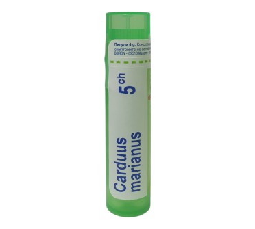 CARDUUS MARIANUS 5 CH